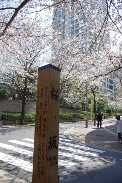 桜坂の名とその歴史を記す。心地よい散策路でした。