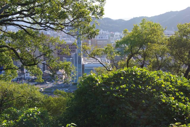 徳島駅方面。景色は斜面の木々に遮られてほとんど見えませんが、市内の貴重な森林。