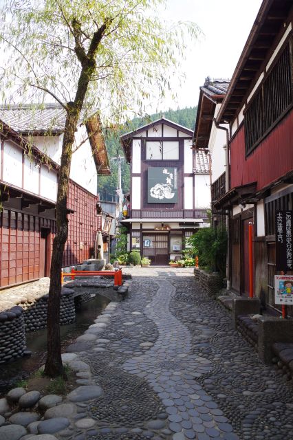 柳の木と屋敷と水路の日本的な風景。