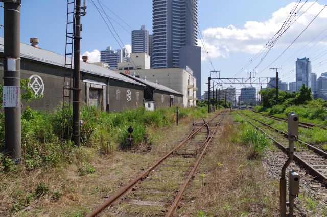 桜木町方面、かつては横浜市中央卸売市場へ線路が伸びていたという。