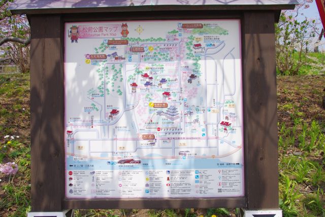 松前城を含む松前公園一帯に桜が点在する。