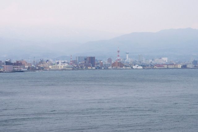 五稜郭タワーが見えます。