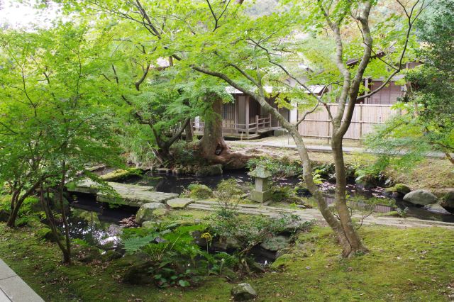 大御堂と奥の建物の間の脇には日本庭園。