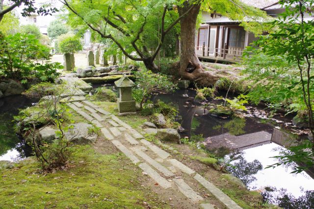 日陰ながら趣のある美しい日本庭園。