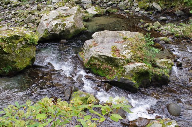 苔の生えたごつごつした岩々、水しぶきを上げる川。