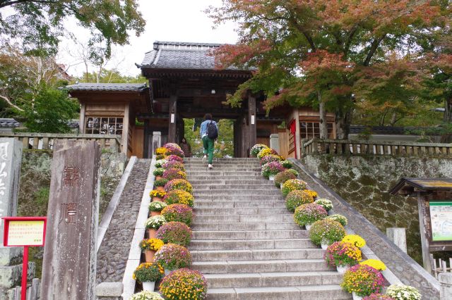 虎渓橋の突き当りに修禅寺があります。