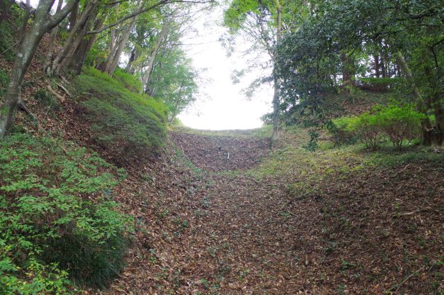 畝堀の延長上の斜面も畝構造が分かります。