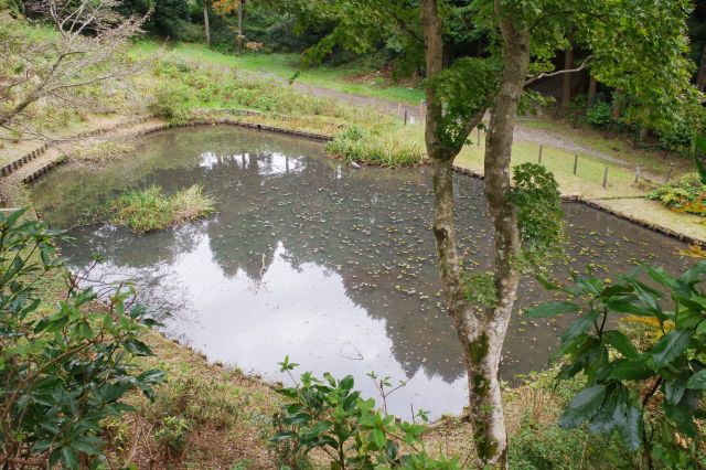 田尻の池の隣の箱井戸跡。水が湧き隣の田尻の池へと流れていました。