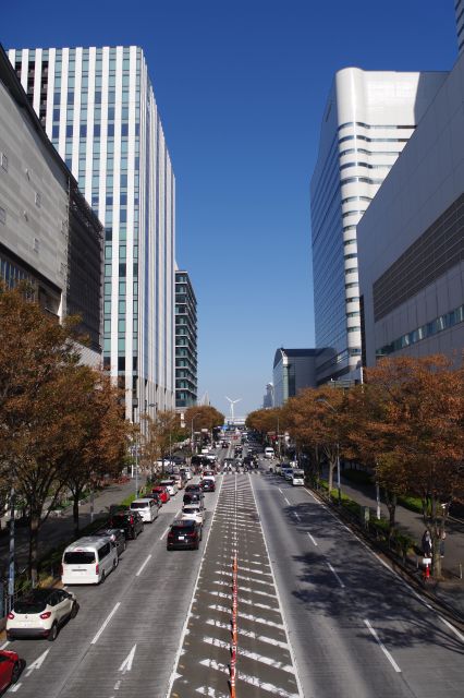 渡る通りの先はみなとみらい駅、みなとみらいホール、パシフィコ横浜。
