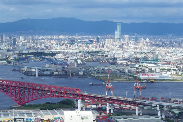 奥にはあべのハルカス。