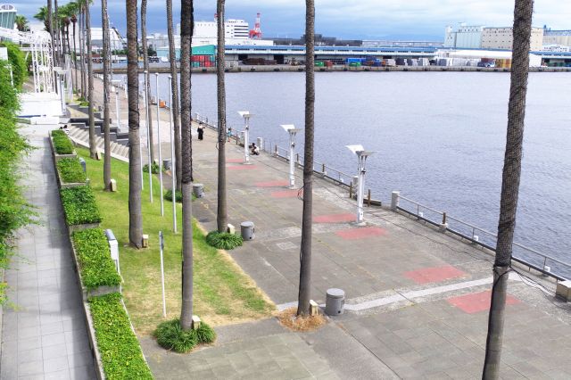 下の岸壁に降りることができます。