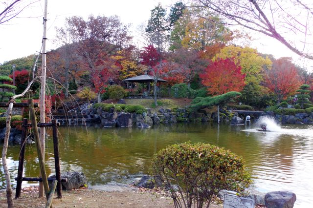 池泉回遊式の日本庭園。鮮やかな紅葉がきれい。山の空気、鳥もいない静かさ。