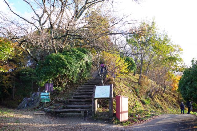 桜山山頂へ登って行きます。