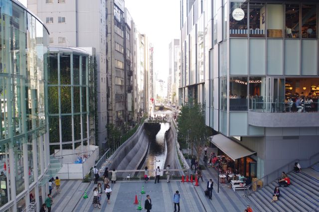 １つの見所、稲荷橋広場越しの渋谷川。
