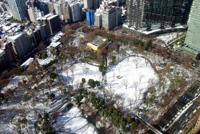 雪が積もる新宿中央公園。