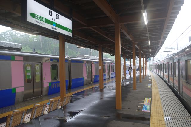 JR仙石線野蒜駅。すれ違いできる構造で東北仙石ラインも停車する。