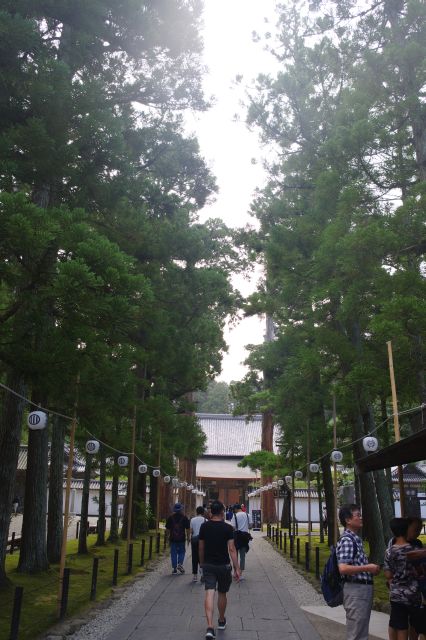 瑞巌寺境内へ。大きな杉並木が続きます。