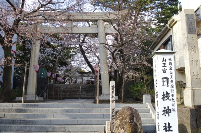 沼津日枝神社の写真ページ