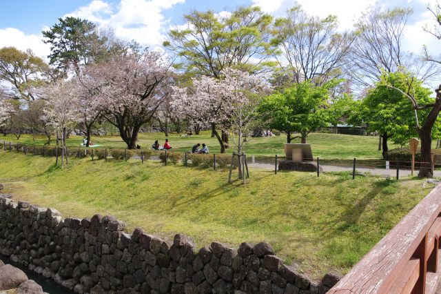 水路越しの桜のある広場。