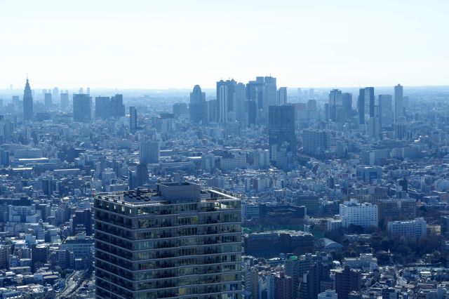 林立する新宿の高層ビル群。