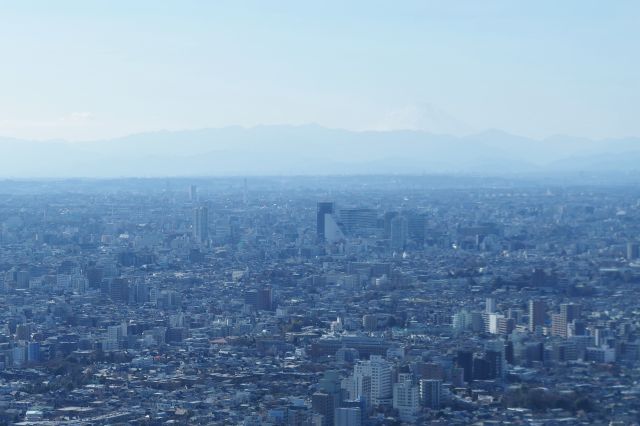 南西側には中野の建物と、奥の山並みの先に富士山がうっすらと見えます。