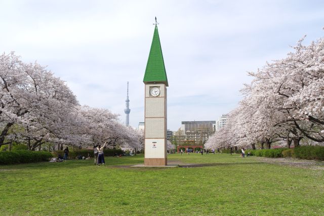 中央広場は時計塔があり両側に桜の木々が連なる風景で映えます。東京スカイツリーも顔を出します。