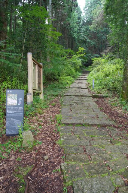 ここから自然の中の本格的な山城へ。藤坂という石畳の急な坂道が続きます。