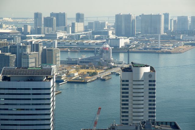 晴海客船ターミナルと豊洲市場。奥には東京ゲートブリッジの一部。