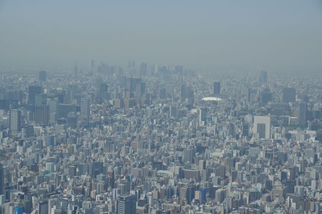 奥には無数のビル群の先に東京ドームや新宿の超高層ビル群。