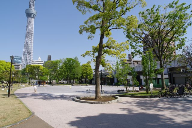 東京スカイツリーが良く見えるきれいに整備された公園です。