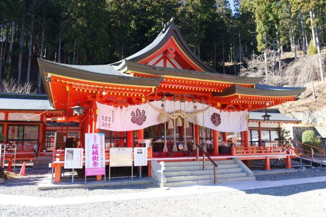 金櫻神社の写真ページ