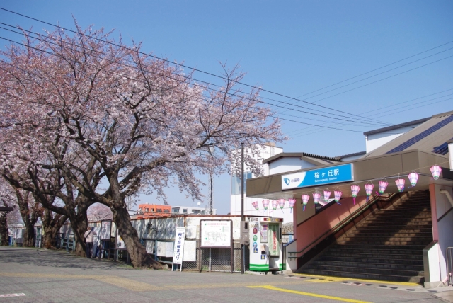 桜ヶ丘駅と桜