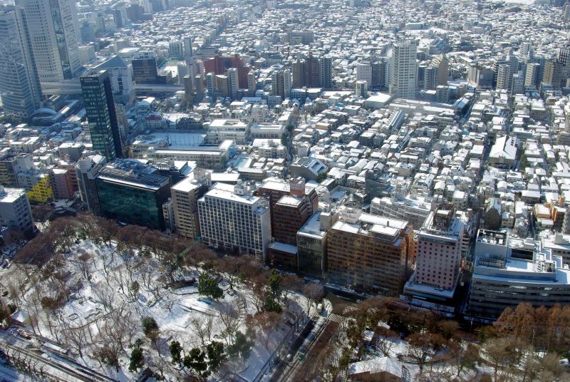 都庁北展望台からの雪景色