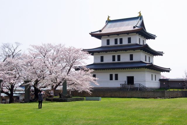 松前城の桜
