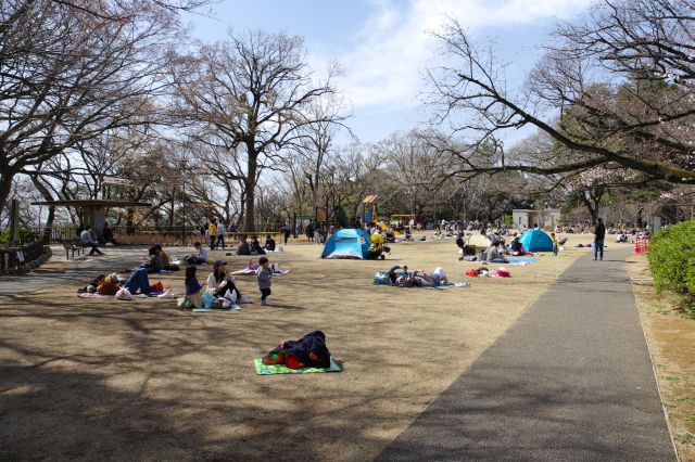 多摩川台公園・広場で憩う人々