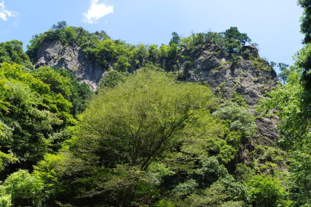 神戸岩の岩肌