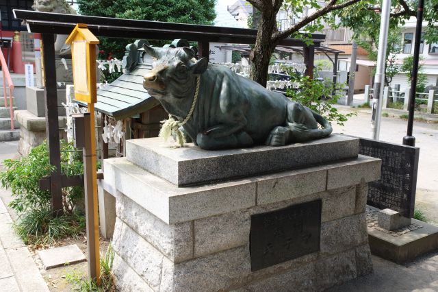 菅原神社・神牛像