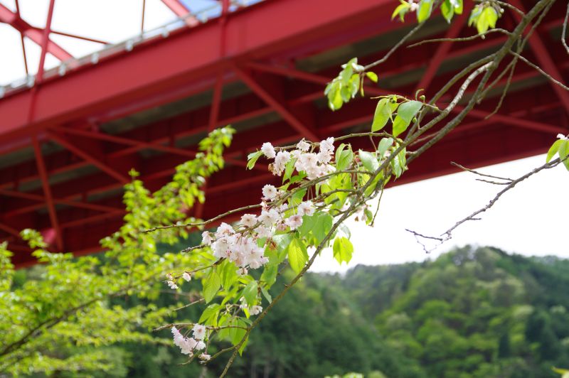 通洞公園