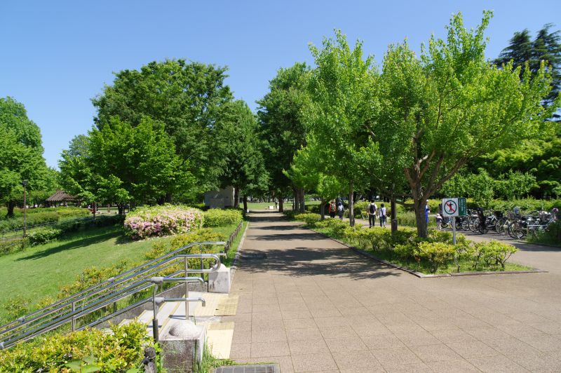 都立国分寺公園