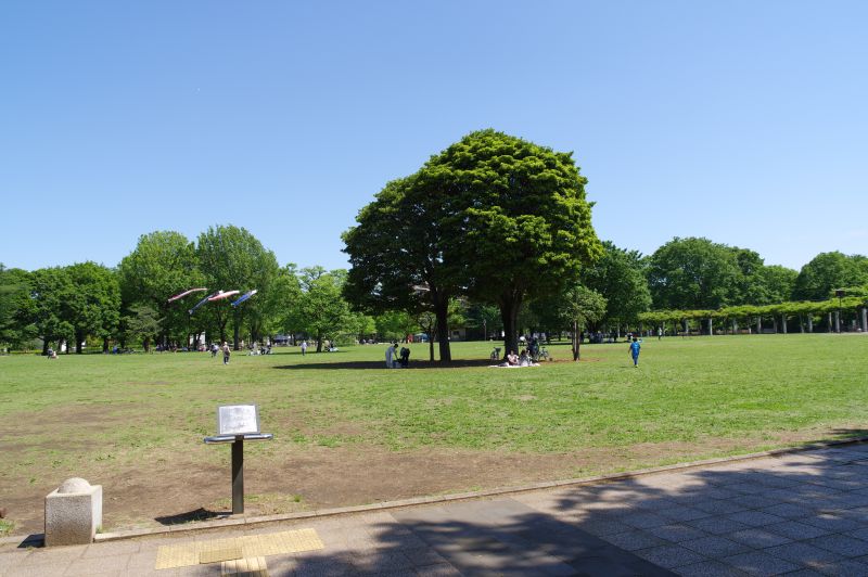 都立国分寺公園