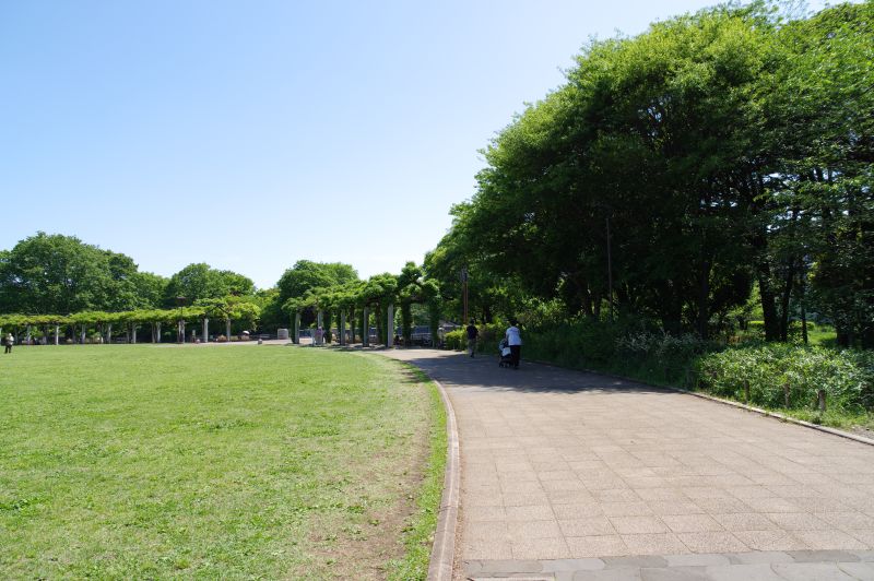 都立国分寺公園