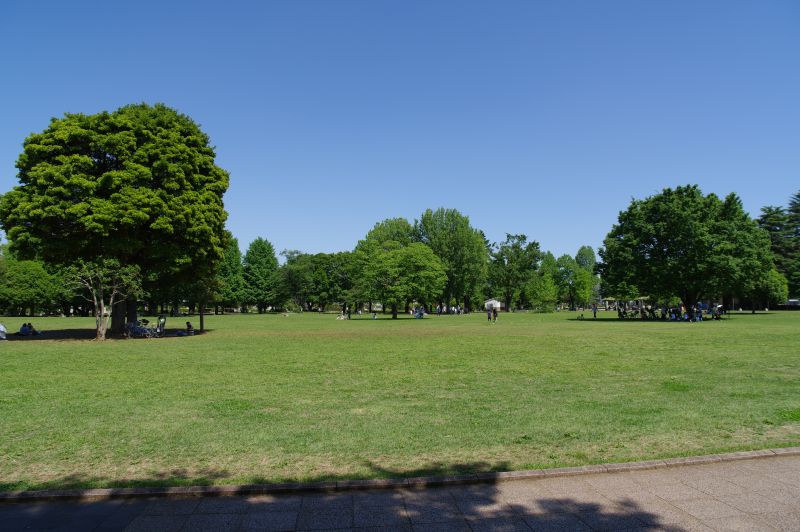 都立国分寺公園