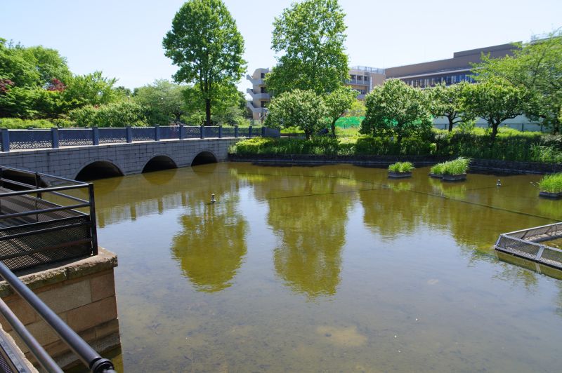 都立国分寺公園