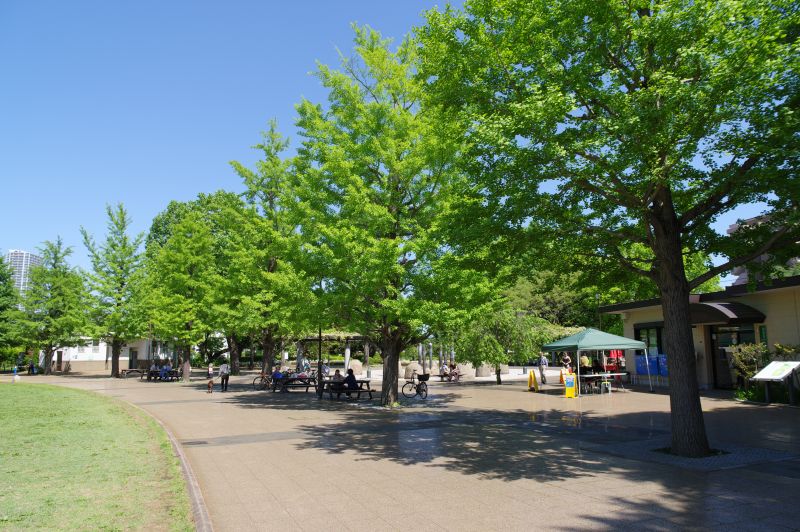 都立国分寺公園