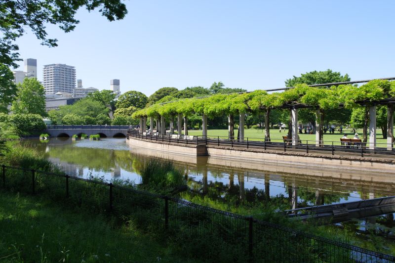 都立国分寺公園