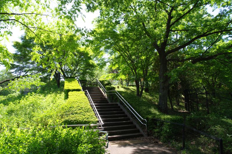 都立国分寺公園