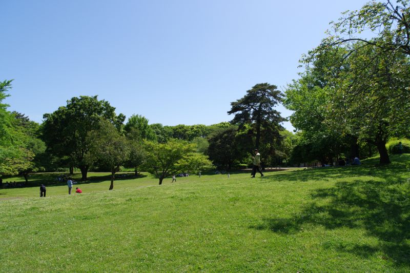 都立国分寺公園