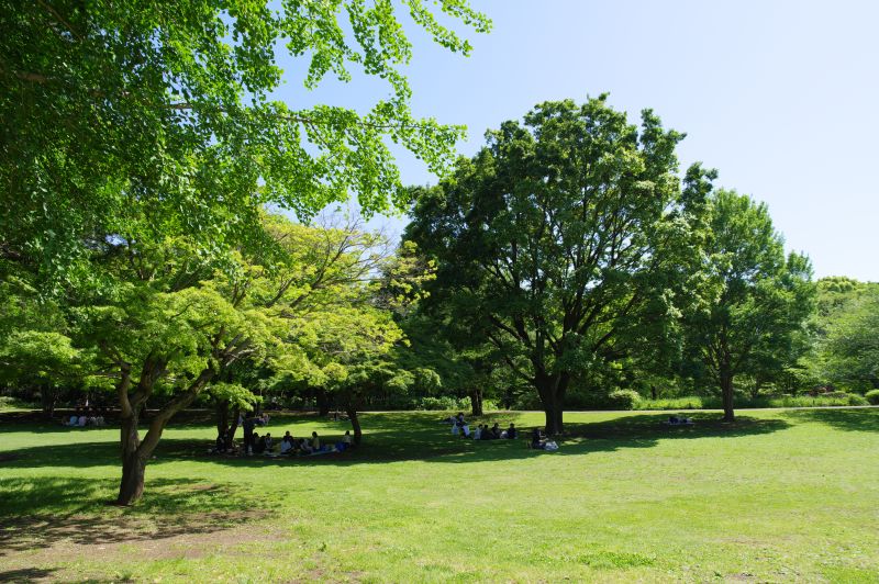 都立国分寺公園