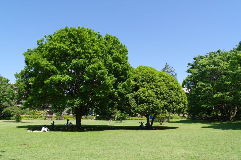 都立国分寺公園