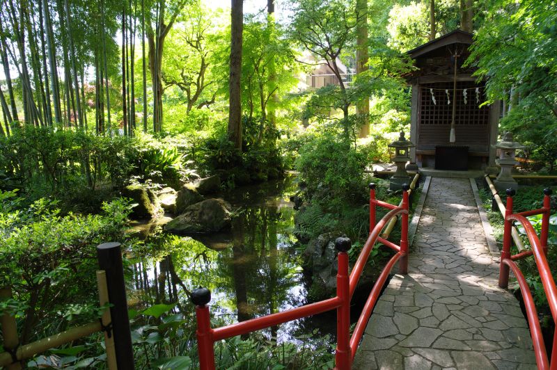 真姿の池湧水群